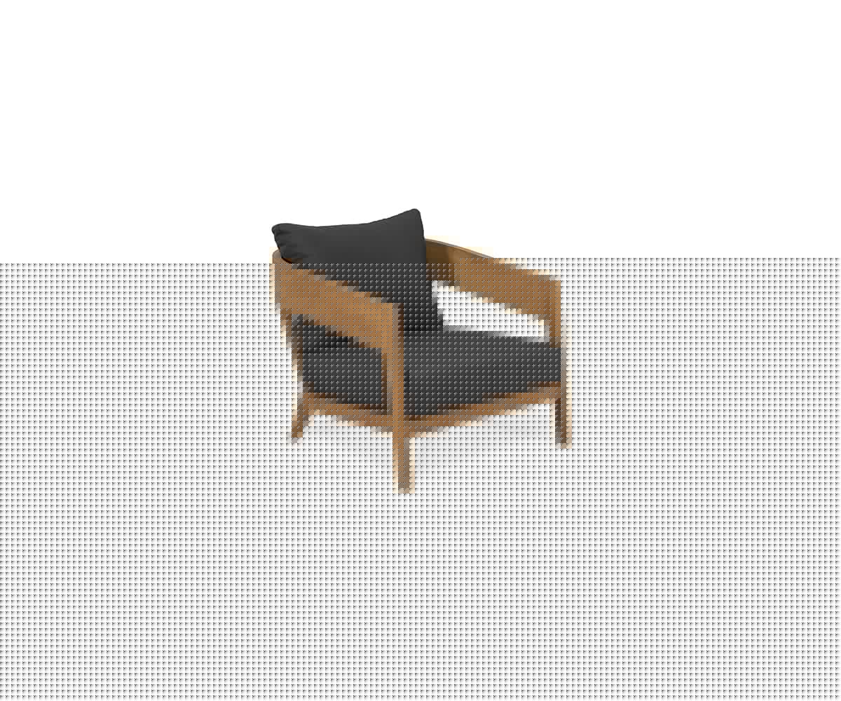 Fauteuil Caspian
